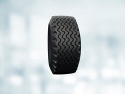 Шина 10.0/75-15.3 IM-301