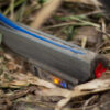 IMG_4534 IMG_4534